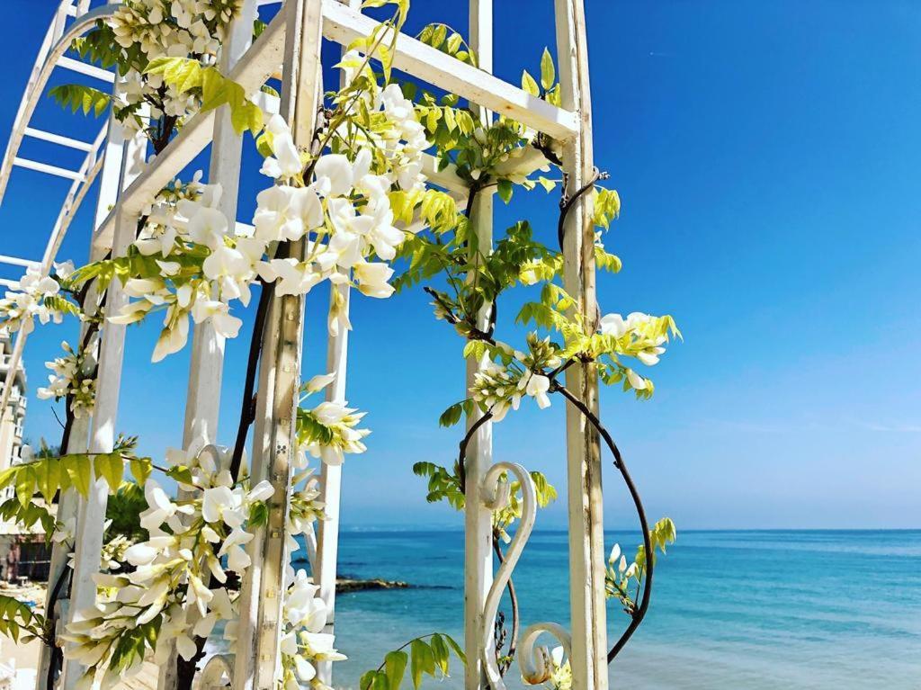 La Mer Apartcomplex&Spa Zlatni pjasătsi Eksteriør bilde
